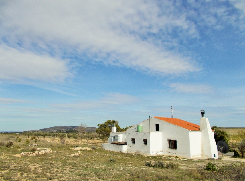 Archivado - Finca for sale - Yecla