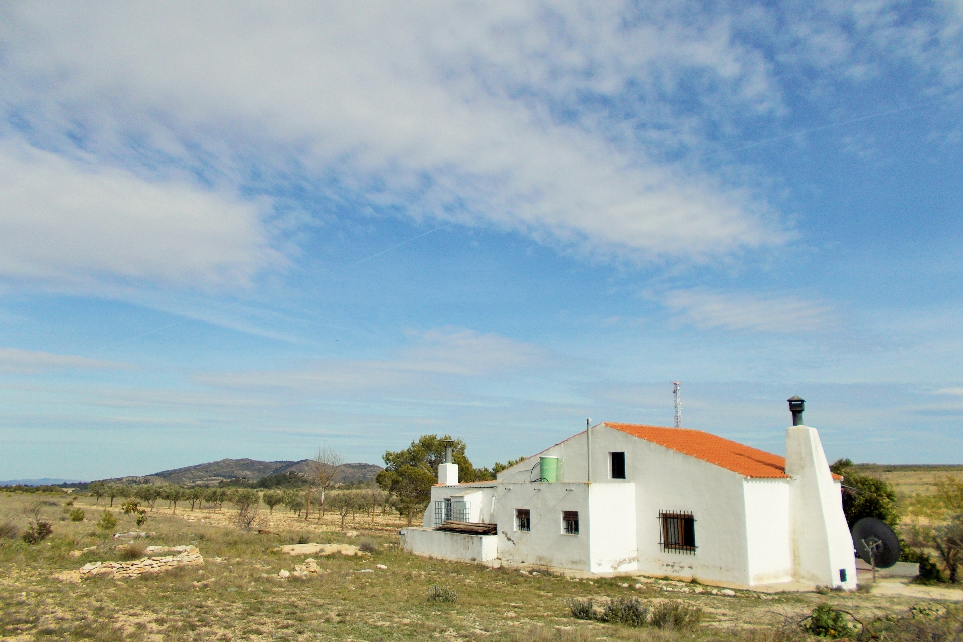 Archivado - Finca for sale - Yecla