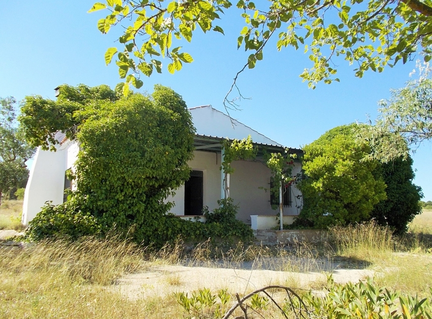 Archivado - Finca for sale - Yecla