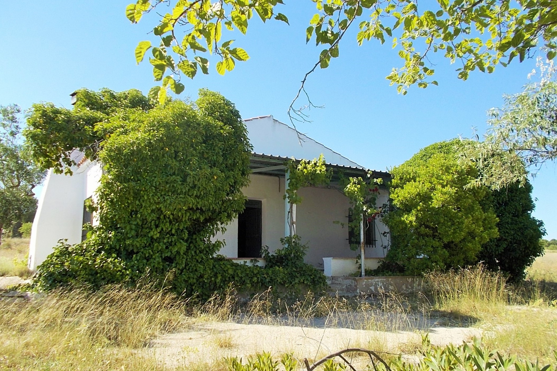 Archivado - Finca for sale - Yecla