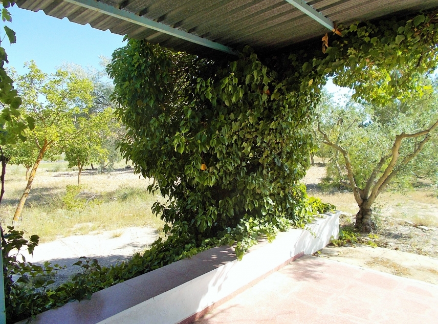 Archivado - Finca for sale - Yecla