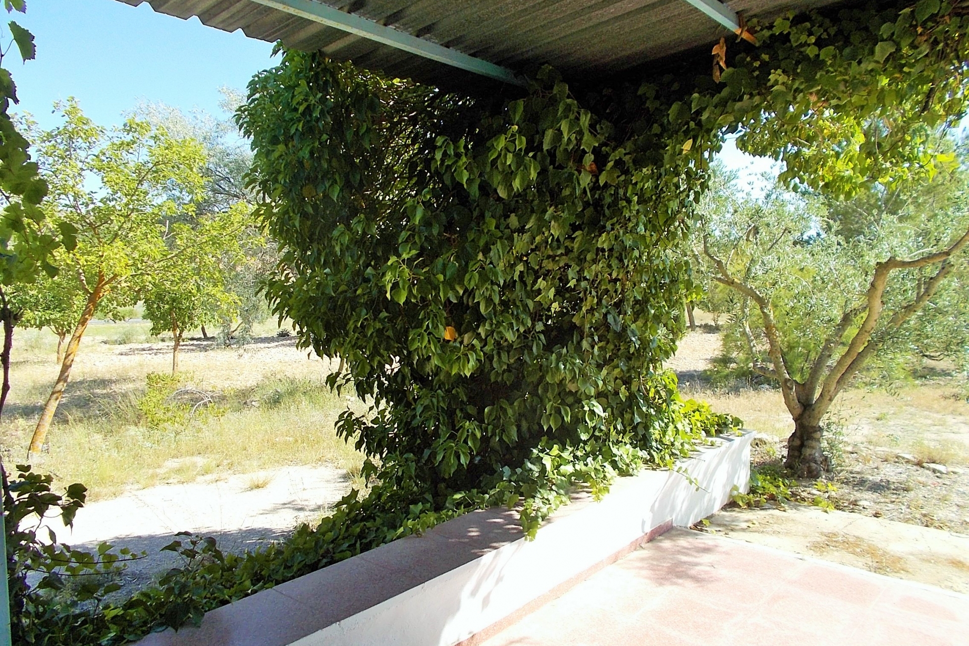 Archivado - Finca for sale - Yecla