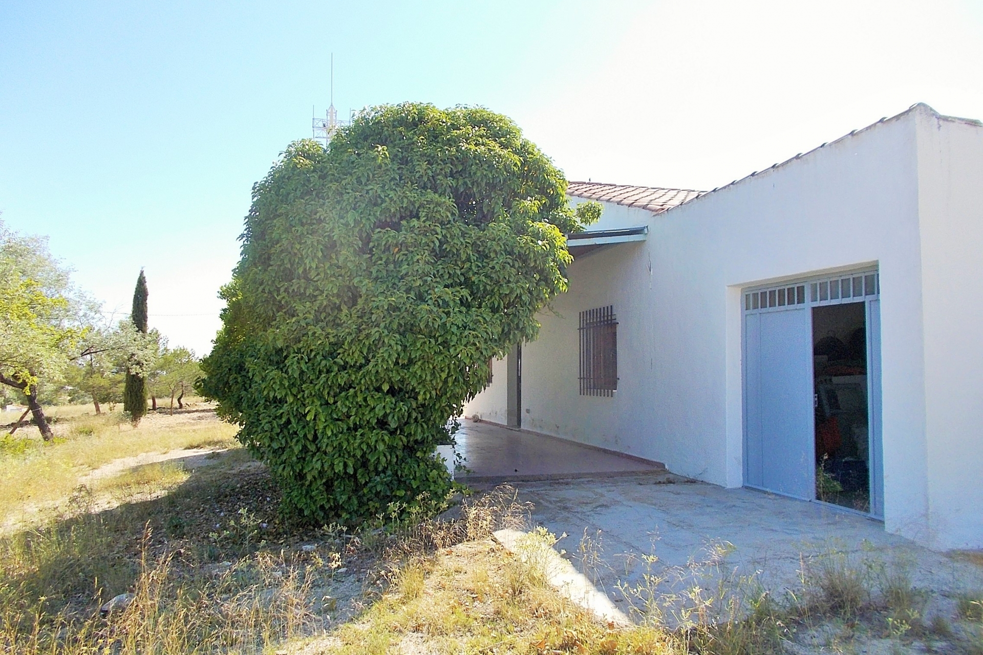 Archivado - Finca for sale - Yecla