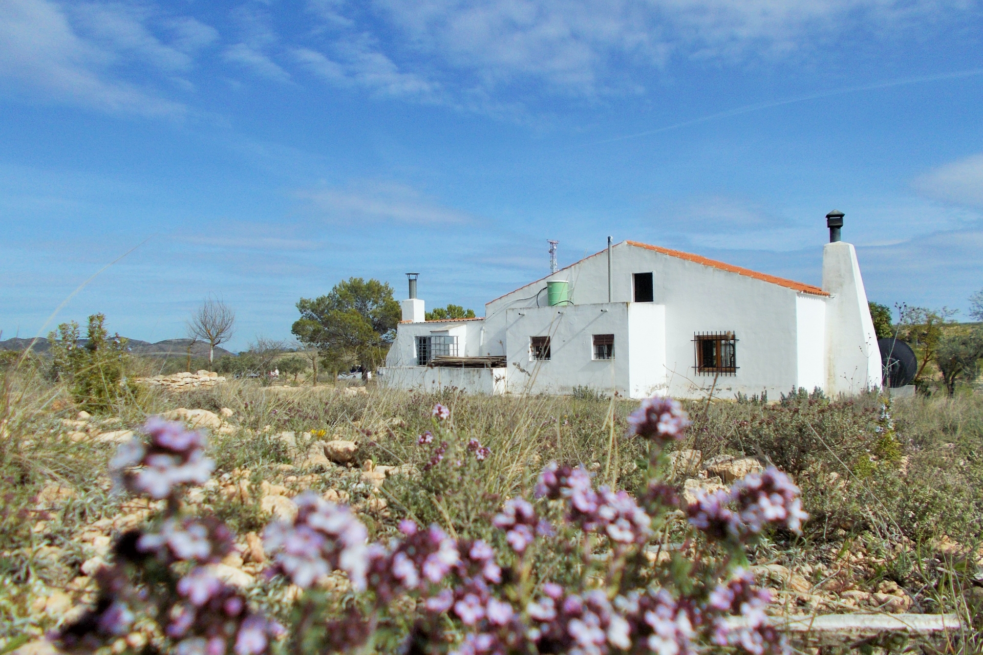 Archivado - Finca for sale - Yecla