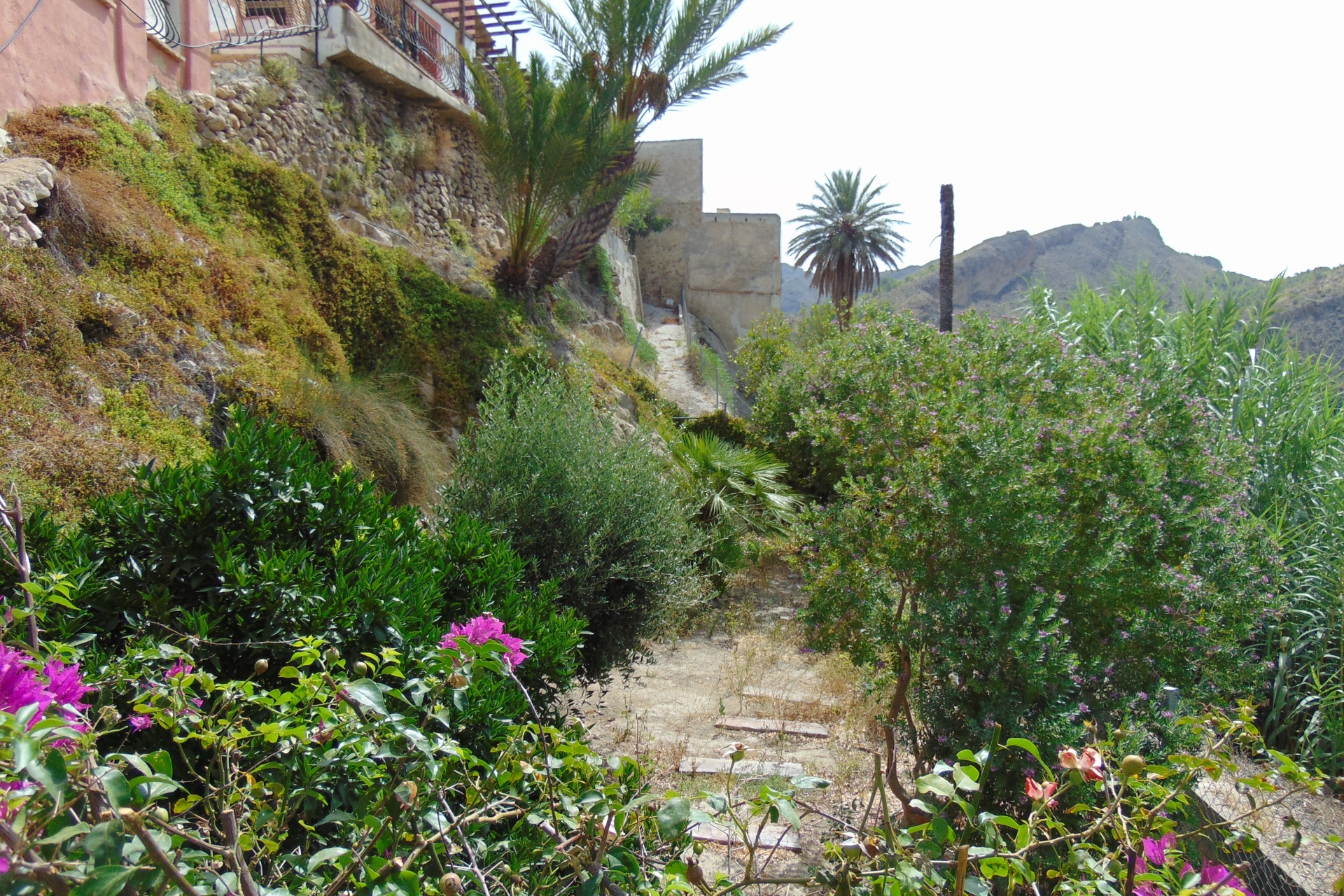 Archived - Finca for sale - Ricote - Blanca