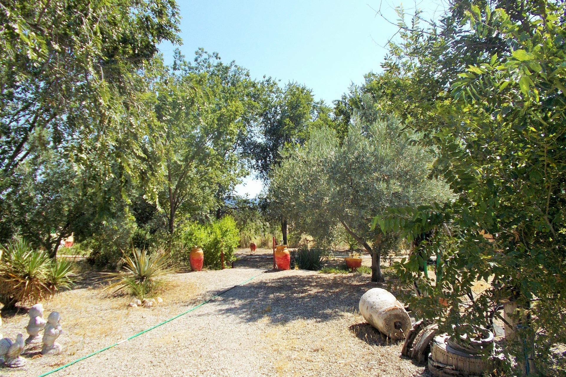 Archived - Finca for sale - Sax - Sax Central