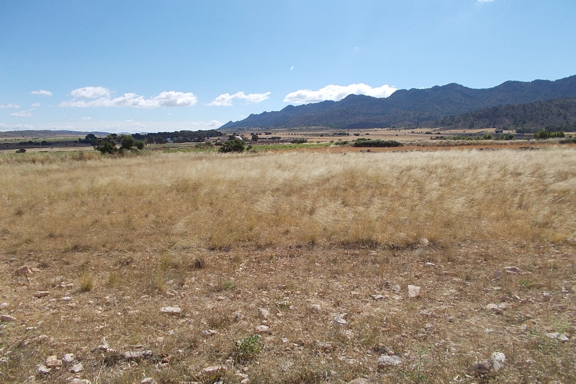 Archived - Plot for sale - Yecla