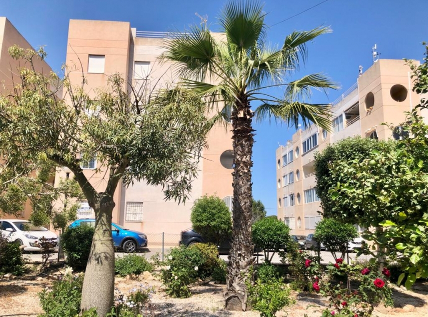 Eigendom verkocht - Appartement te koop - Torrevieja - San Luis