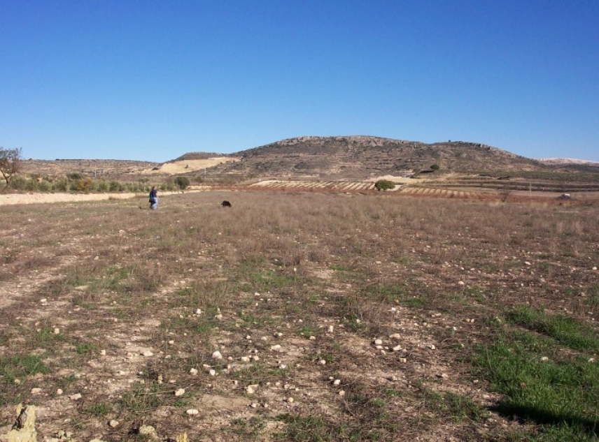 Large building plot for sale in Pinoso on Spains Costa Blanca. For sale near Murcia cheap plot for sale.