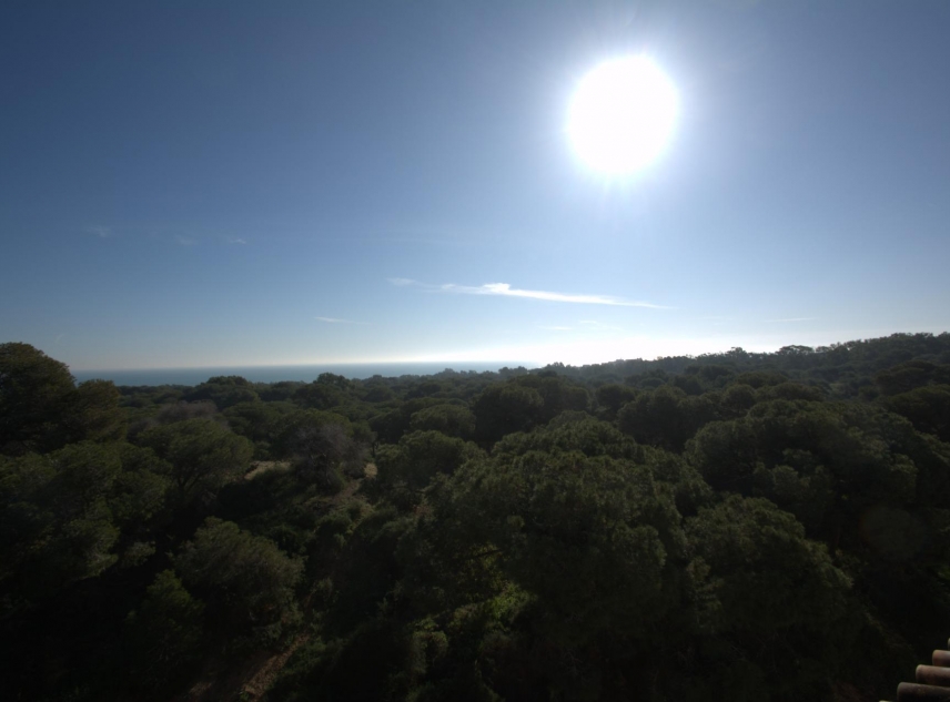 New Property for sale - Apartment for sale - Guardamar del Segura - Guardamar del Segura - Town Centre