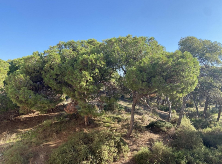 New Property for sale - Apartment for sale - Guardamar del Segura - Guardamar del Segura - Town Centre