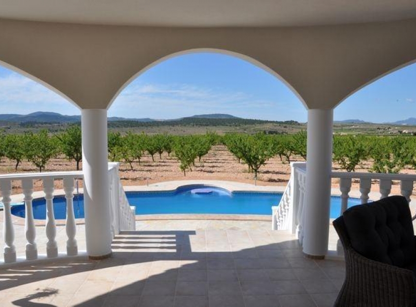 New Property for sale - Villa for sale - Pinoso - Campo