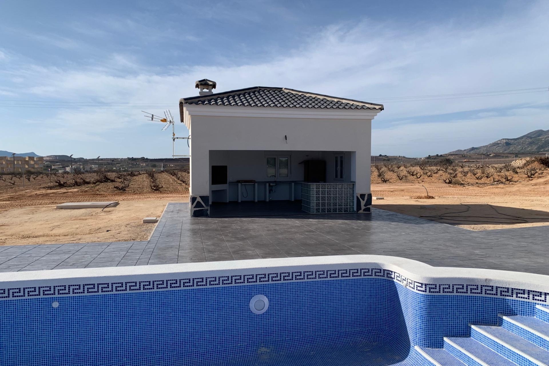 Nueva propiedad en venta - Villa for sale - Pinoso - Camino Del Prado