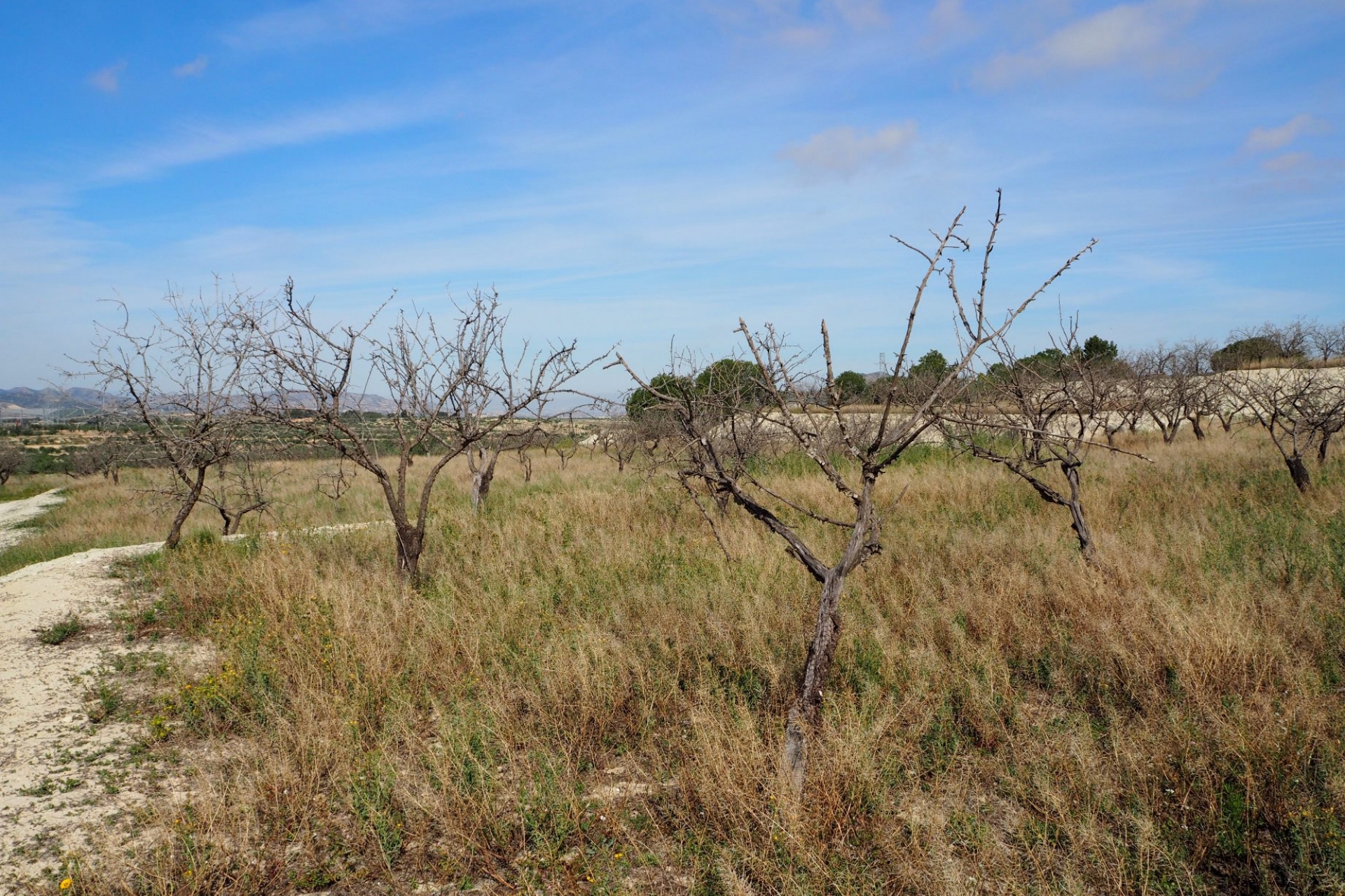 Plot of land for sale - Plot for sale - San Miguel de Salinas - Torremendo