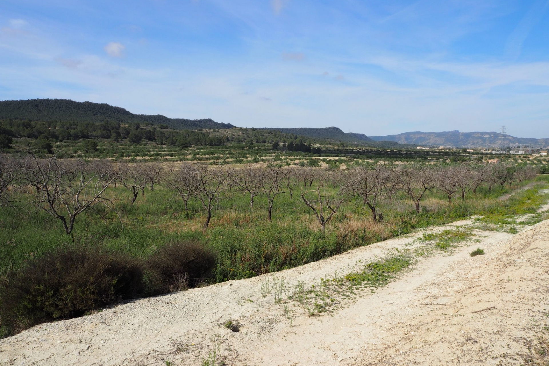 Plot of land for sale - Plot for sale - San Miguel de Salinas - Torremendo