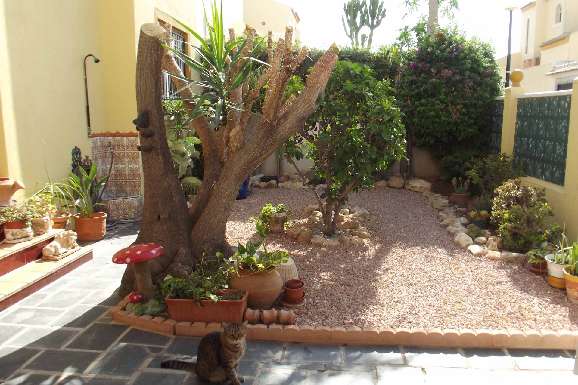 Property on Hold - Townhouse for sale - Torrevieja - Torrevieja Town Centre