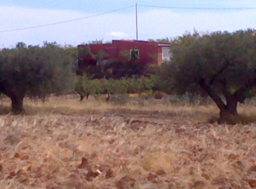 Property Sold - Plot for sale - Jumilla