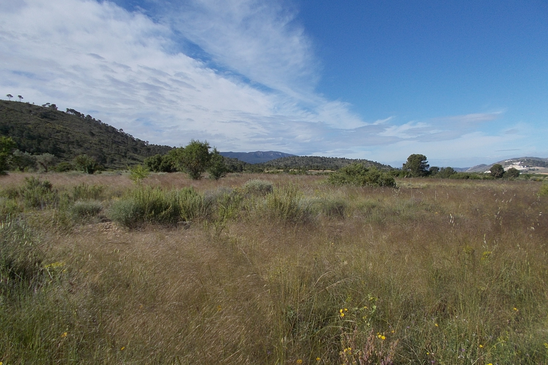 Property Sold - Plot for sale - Yecla