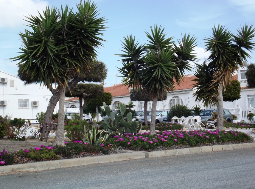 Propiedad vendida - Bungalow en venta - Torrevieja - San Luis