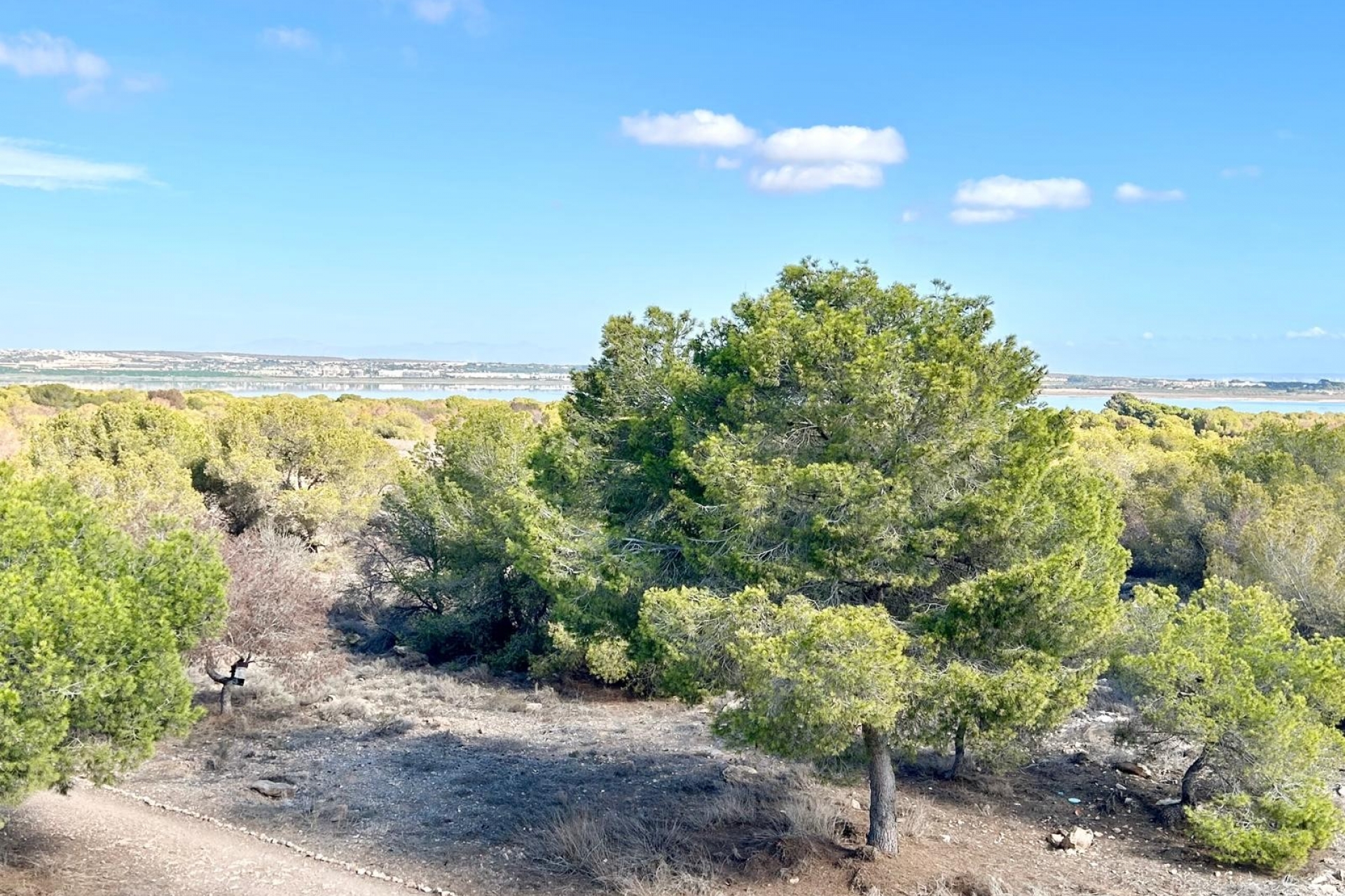 Propriété à vendre - Bungalow for sale - Torrevieja - El Chaparral