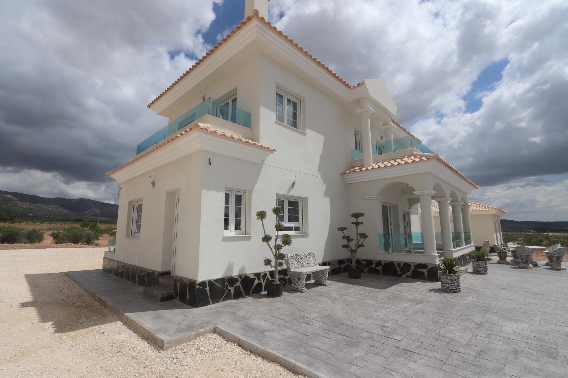 Propriété neuve à vendre - Villa for sale - Pinoso - Camino Del Prado