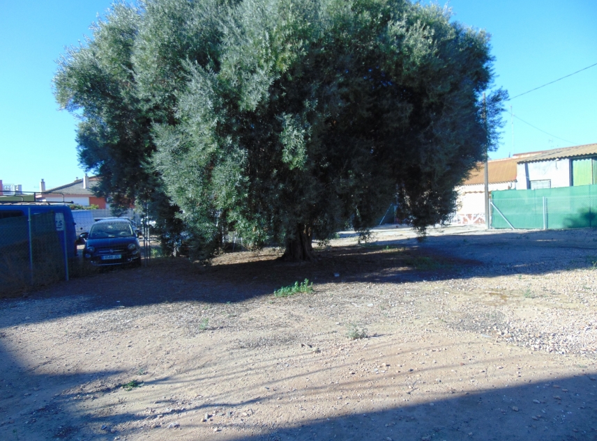 Terrain à vendre - Plot for sale - San Pedro del Pinatar