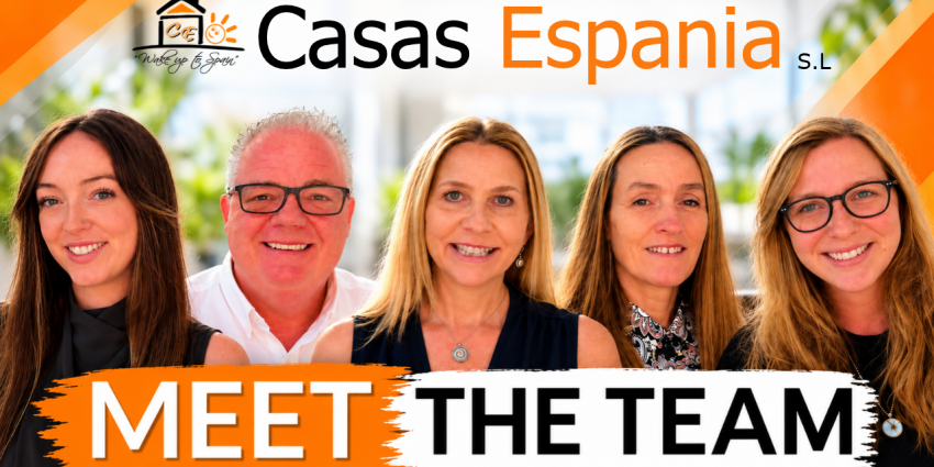 Meet the team!