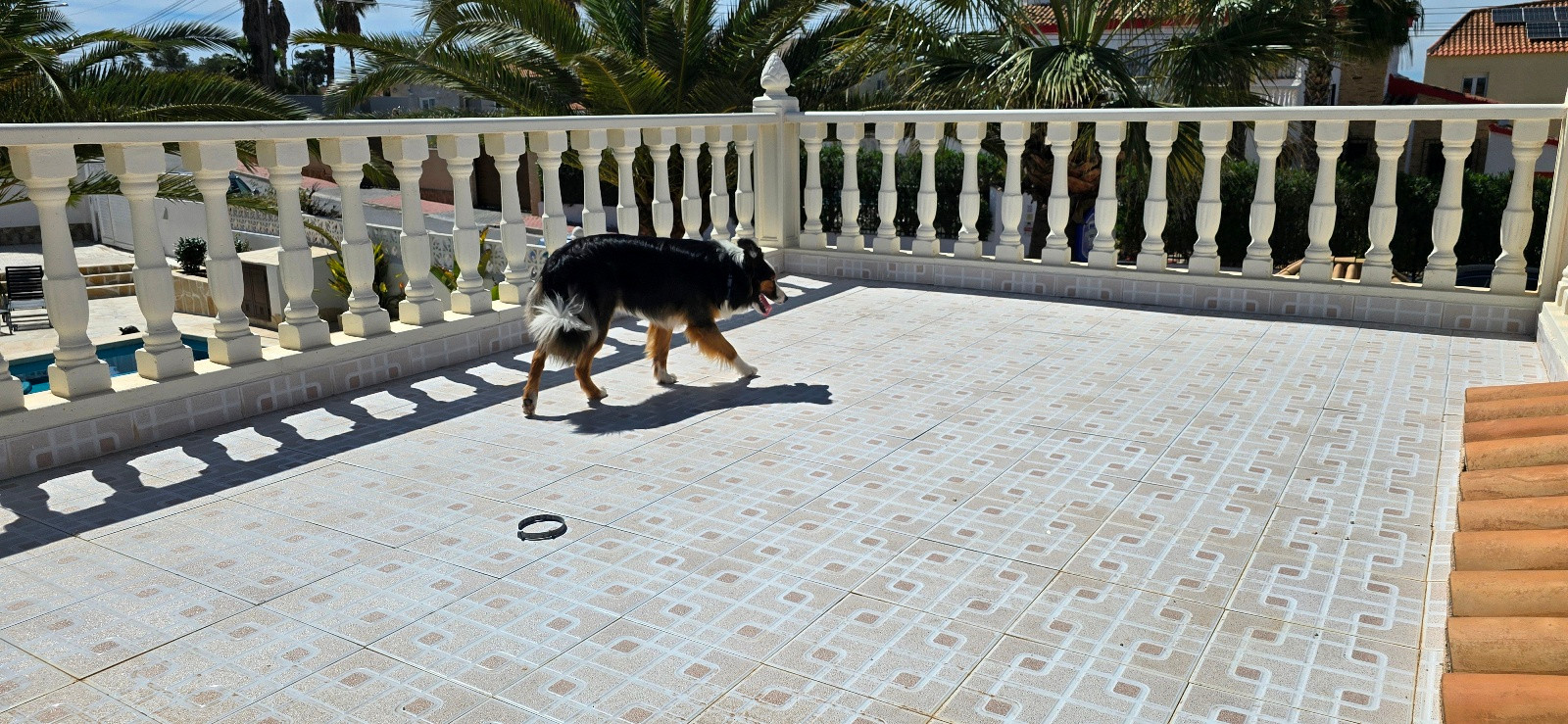 Propriété à vendre - Villa à vendre - Torrevieja - El Chaparral