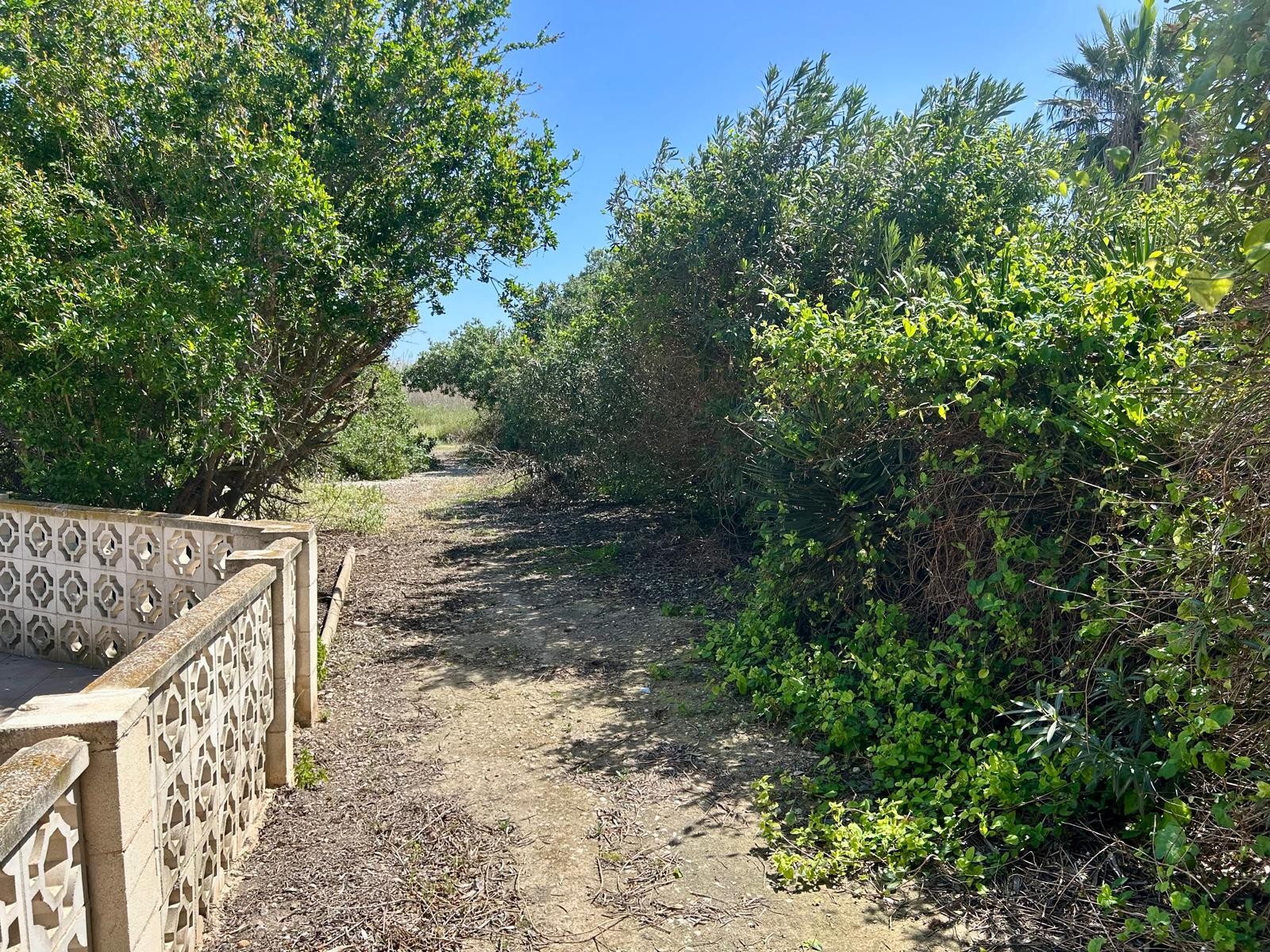 Property Sold - Finca for sale - Rojales