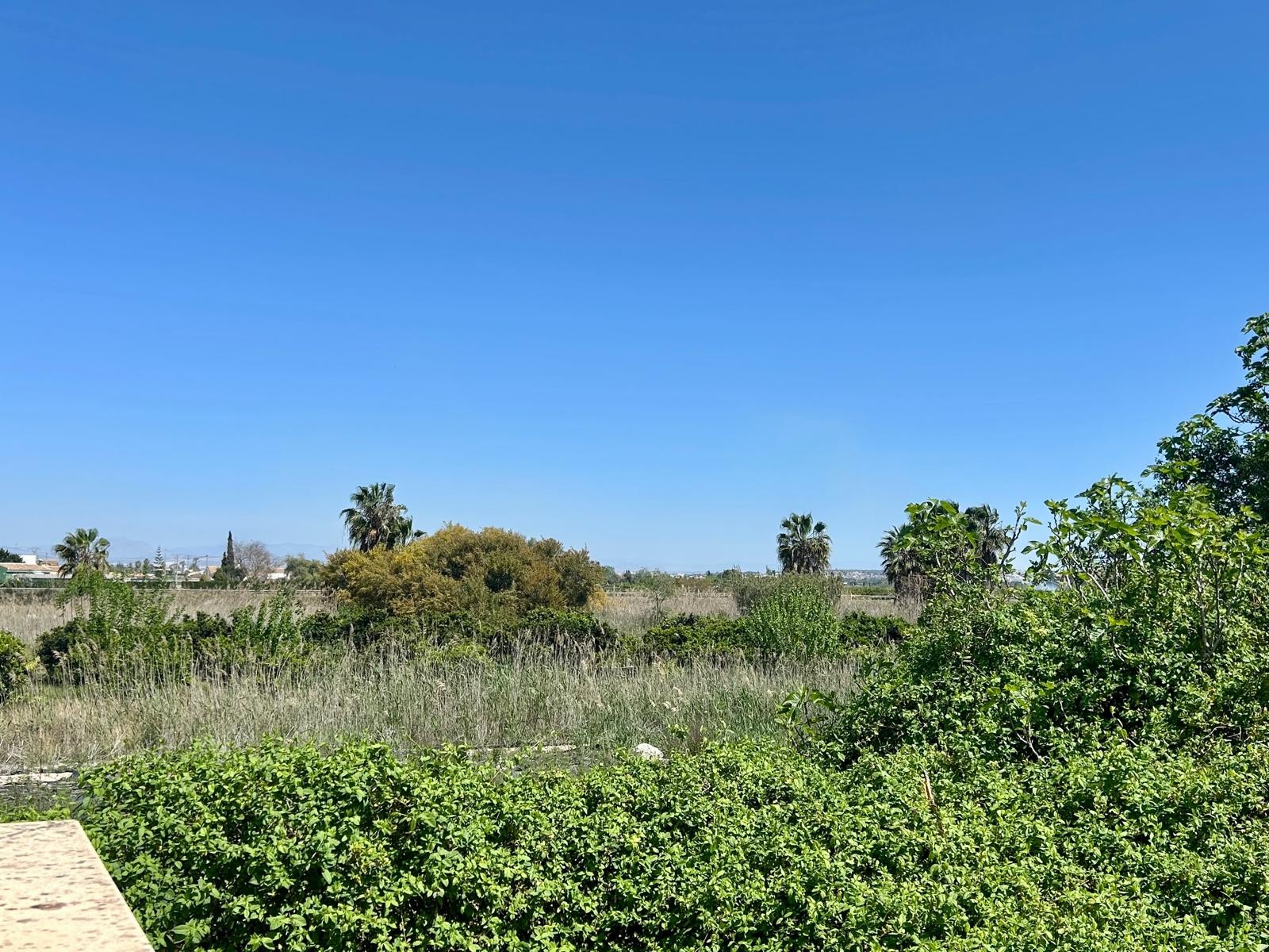 Property Sold - Finca for sale - Rojales