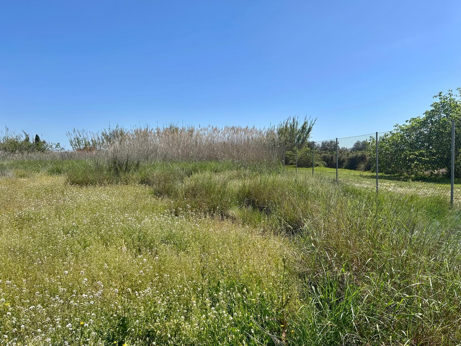 Property Sold - Finca for sale - Rojales