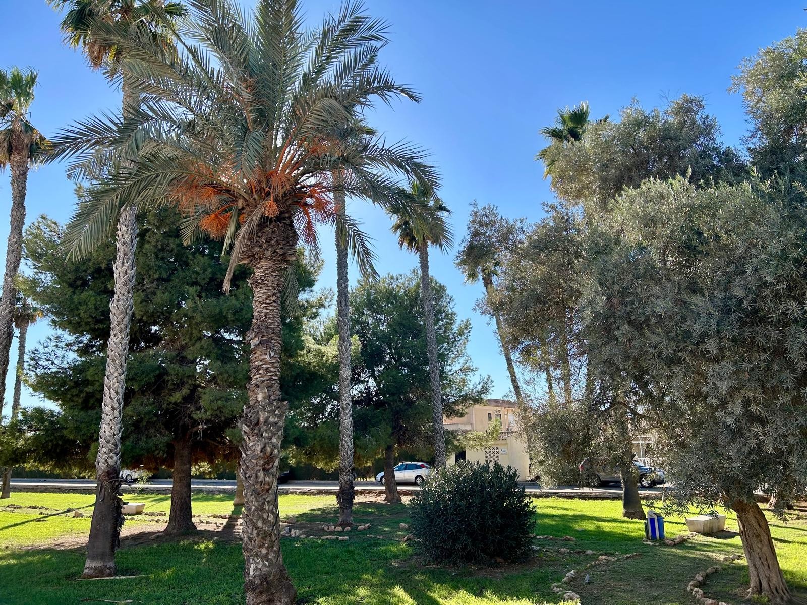 Property Sold - Bungalow for sale - Torrevieja - Paraje Natural