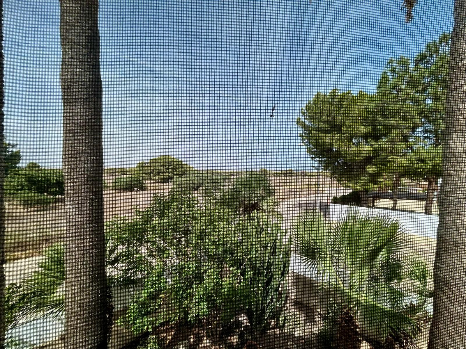 Property Sold - Villa for sale - Torrevieja - San Luis