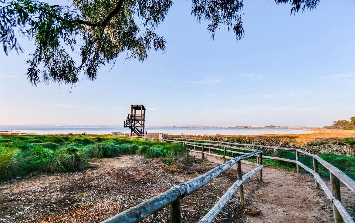 Property for sale - Bungalow for sale - Torrevieja - El Chaparral