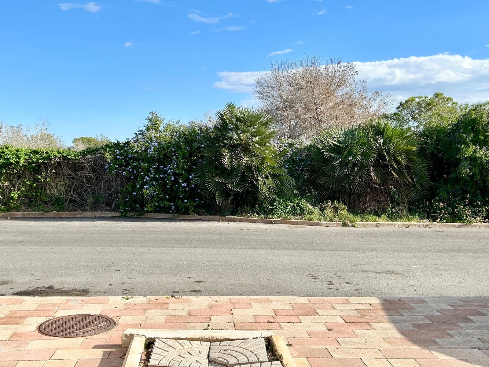 Property for sale - Bungalow for sale - Torrevieja - La Siesta