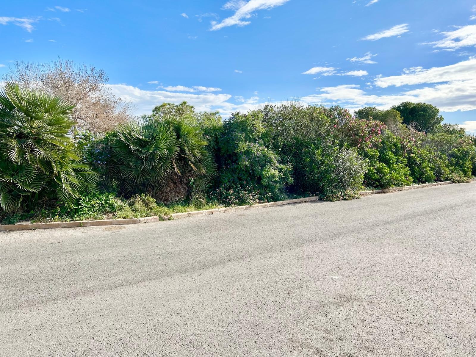 Property for sale - Bungalow for sale - Torrevieja - La Siesta