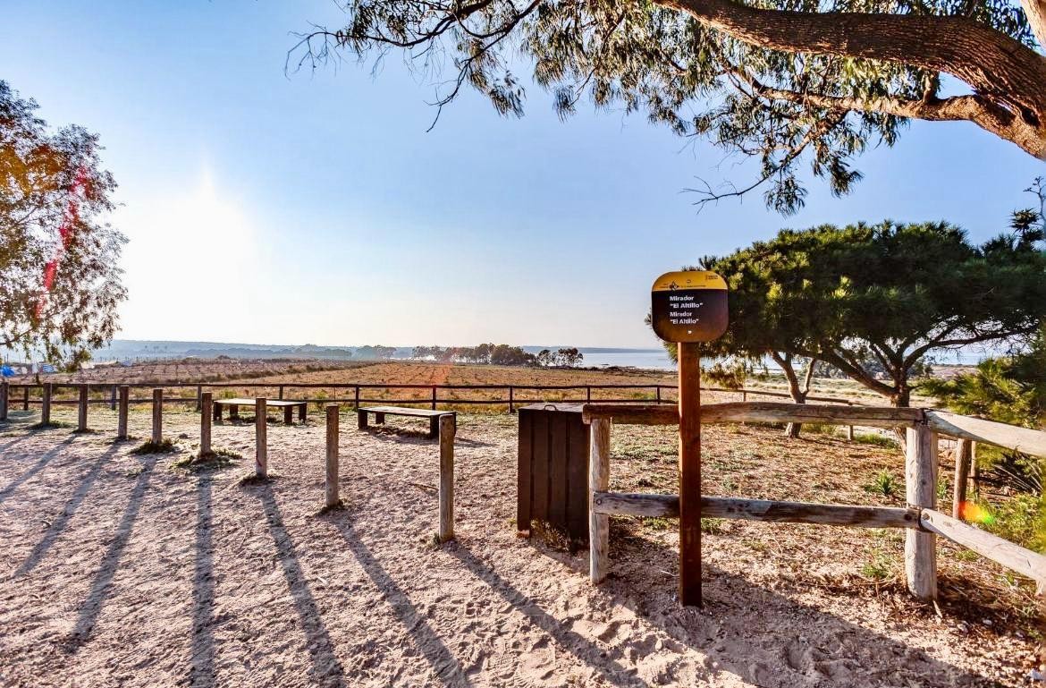 Property for sale - Bungalow for sale - Torrevieja - La Siesta