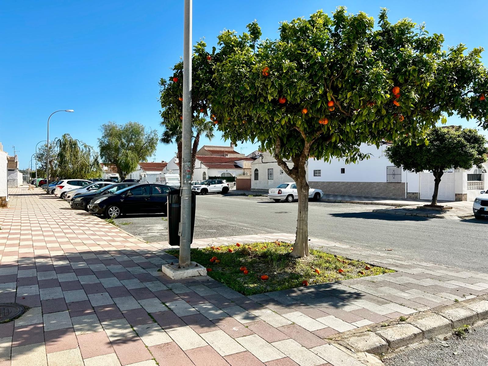 Property for sale - Bungalow for sale - Torrevieja - La Siesta