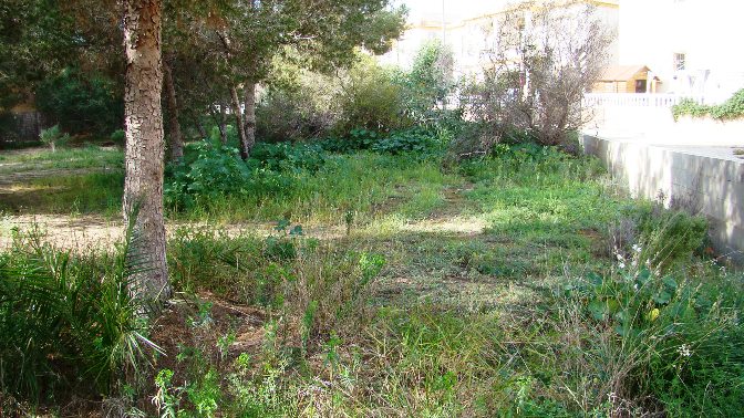Plot of land for sale - Plot for sale - Algorfa - Montemar