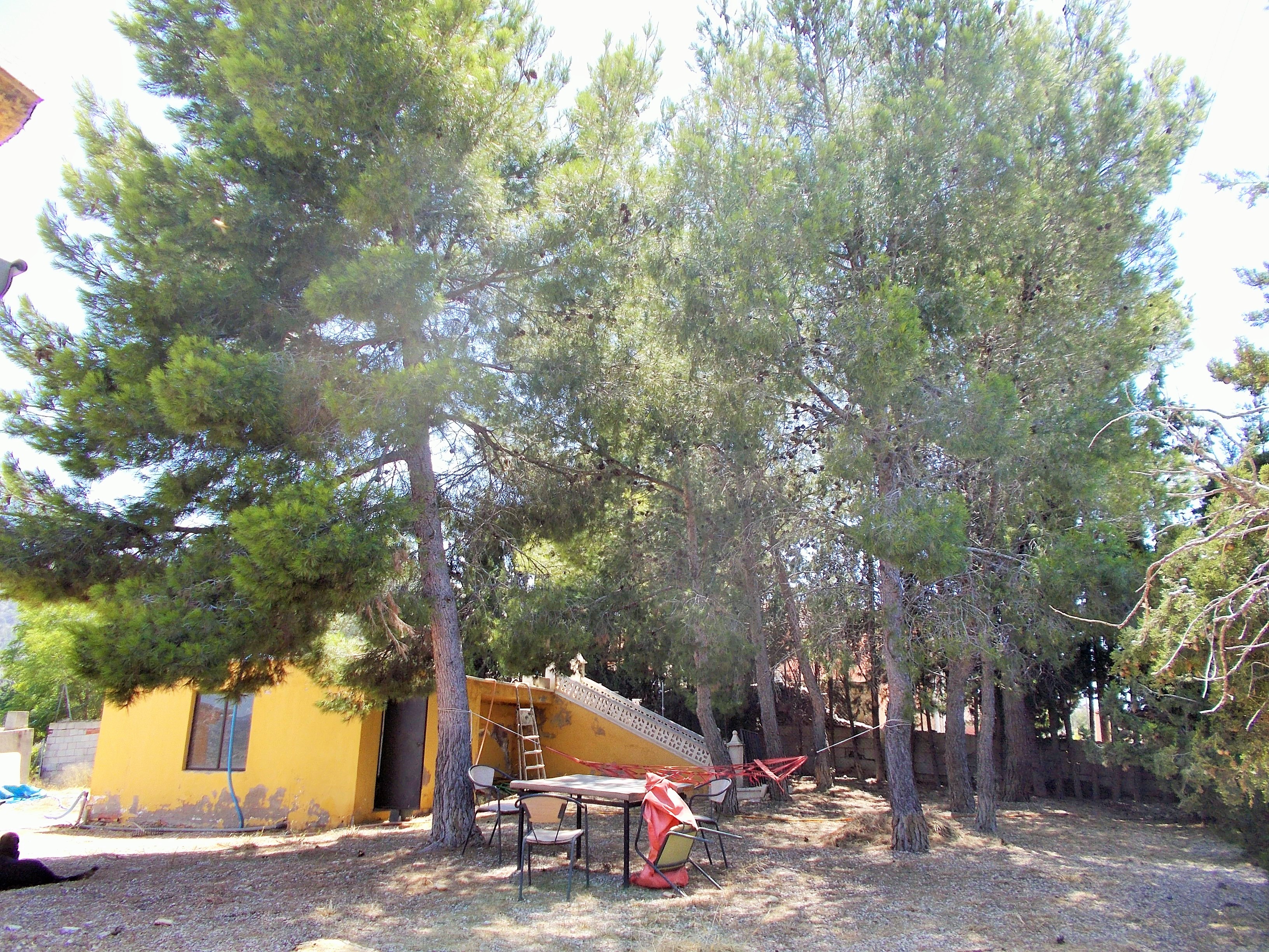 Property Sold - Villa for sale - Sax - Sax Central