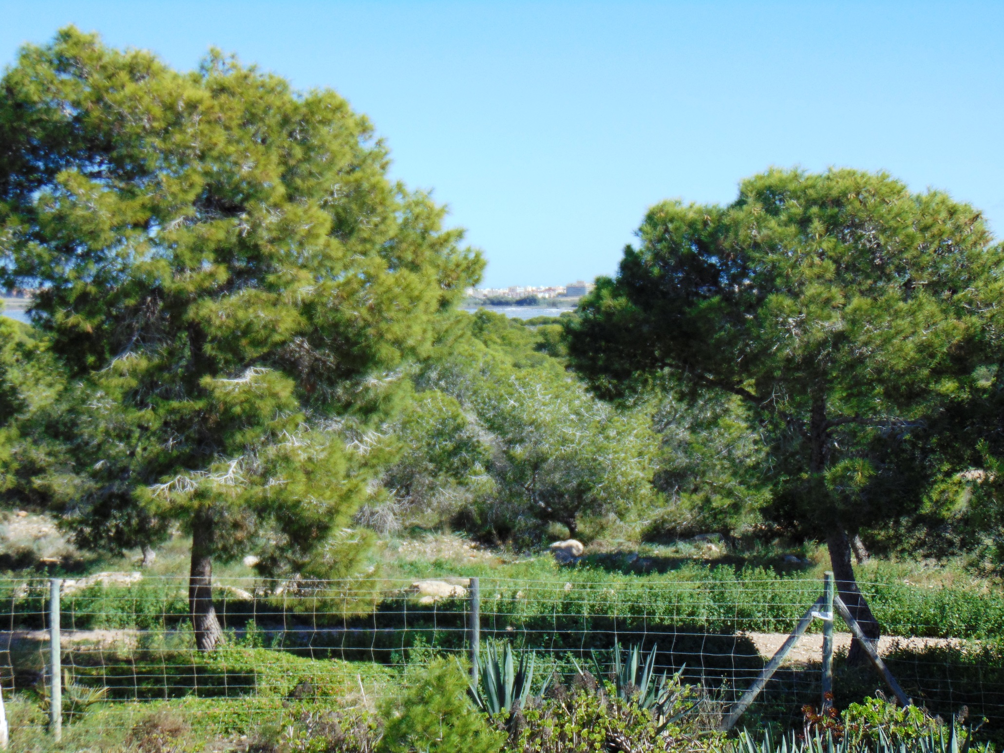 Eigendom verkocht - Rijtjeshuis te koop - Torrevieja - La Siesta