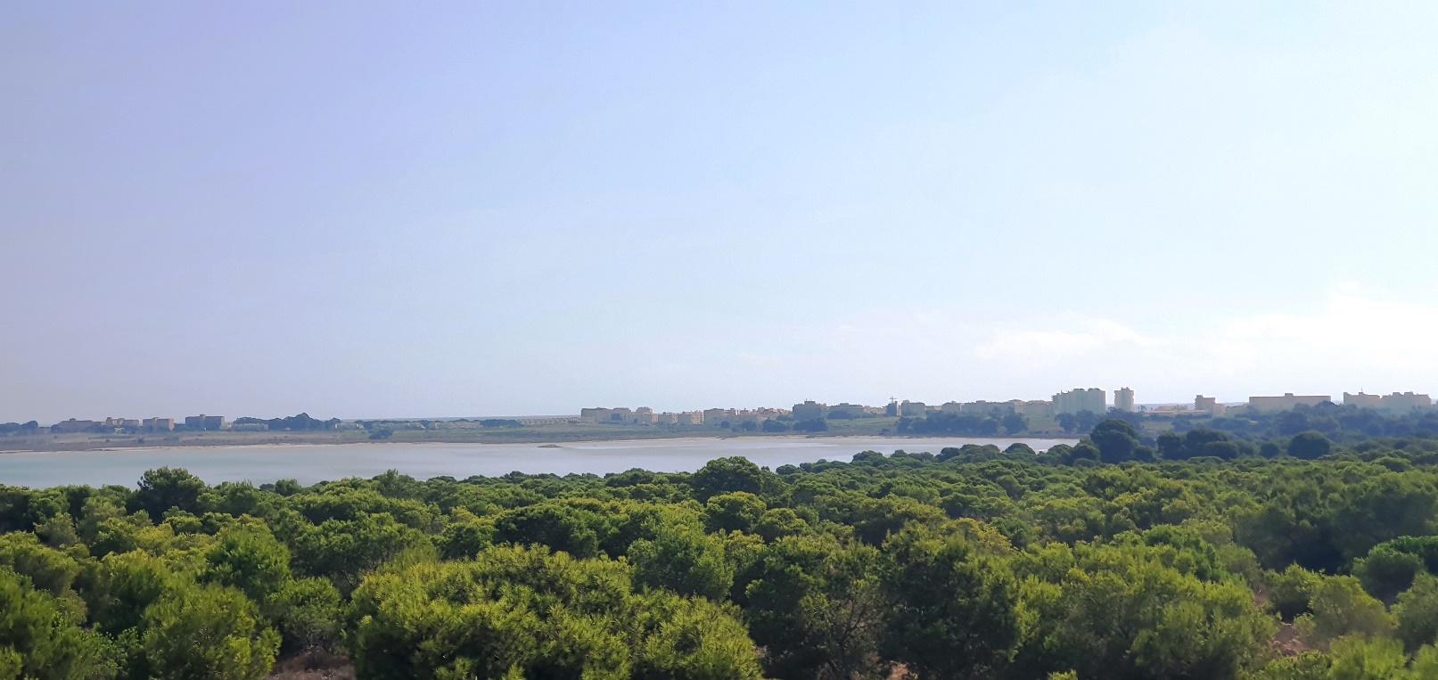 Property Sold - Bungalow for sale - Torrevieja - La Siesta