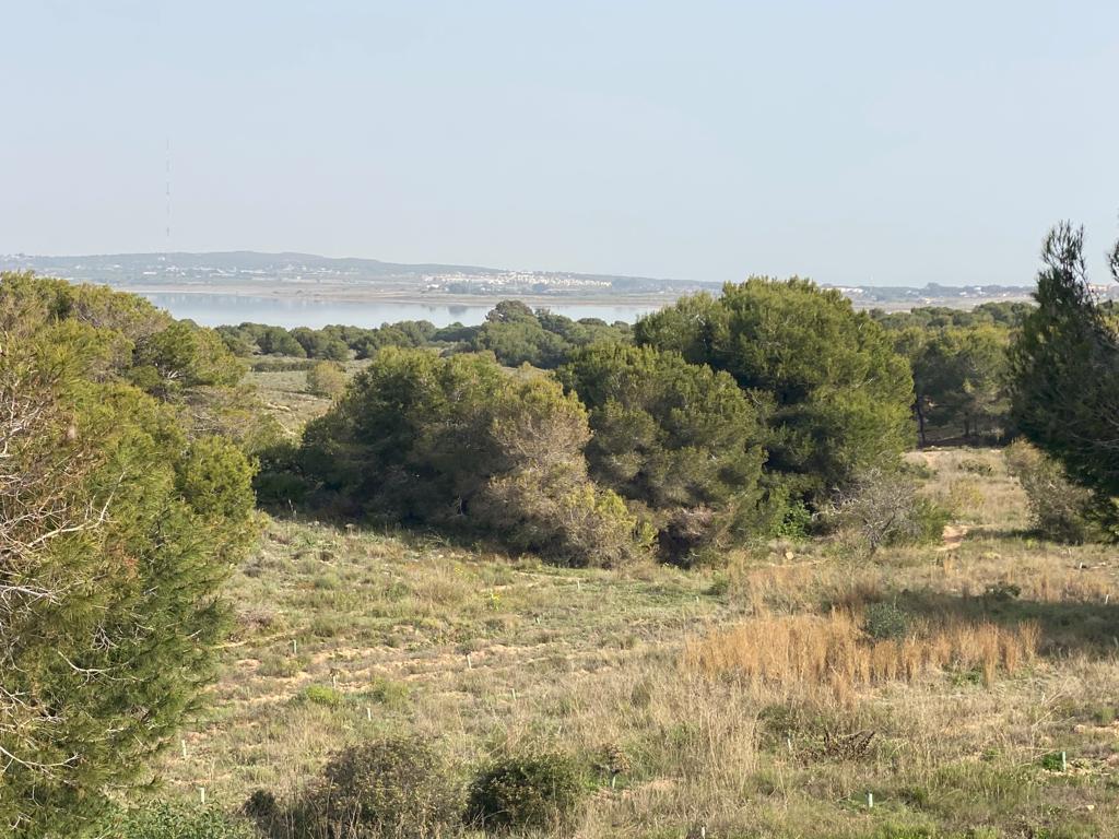 Property Sold - Bungalow for sale - Torrevieja - El Chaparral