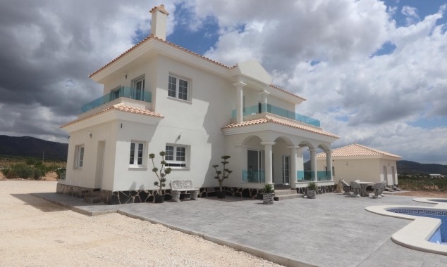 Nueva propiedad en venta - Villa for sale - Pinoso - Camino Del Prado