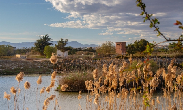 Nueva propiedad en venta - Bungalow for sale - Guardamar del Segura - Guardamar del Segura - Town Centre