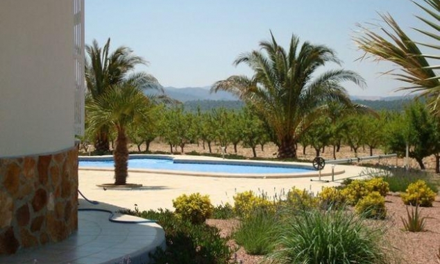 Nueva propiedad en venta - Villa for sale - Pinoso - Campo