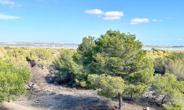 Propriété à vendre - Bungalow for sale - Torrevieja - El Chaparral