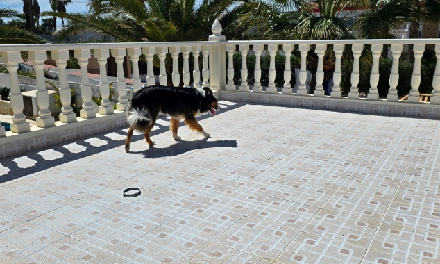 Propriété à vendre - Villa à vendre - Torrevieja - El Chaparral