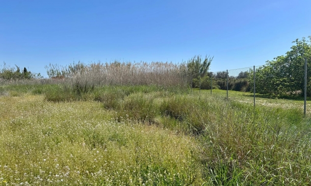 Property Sold - Finca for sale - Rojales