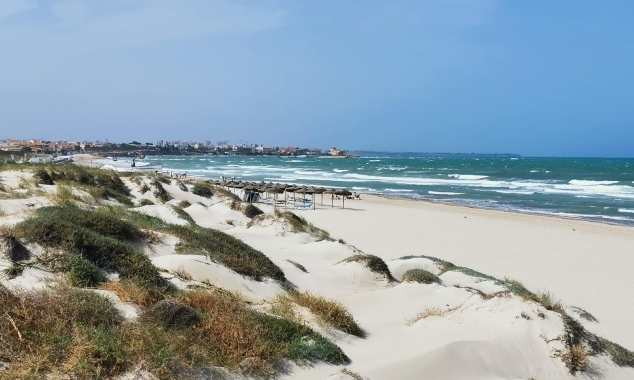 Nueva propiedad en venta - Villa en venta - Pilar de la Horadada